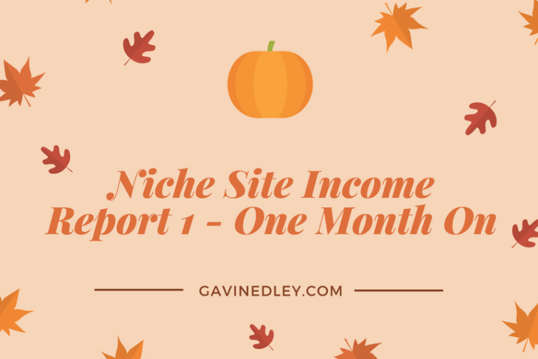 niche site progress report